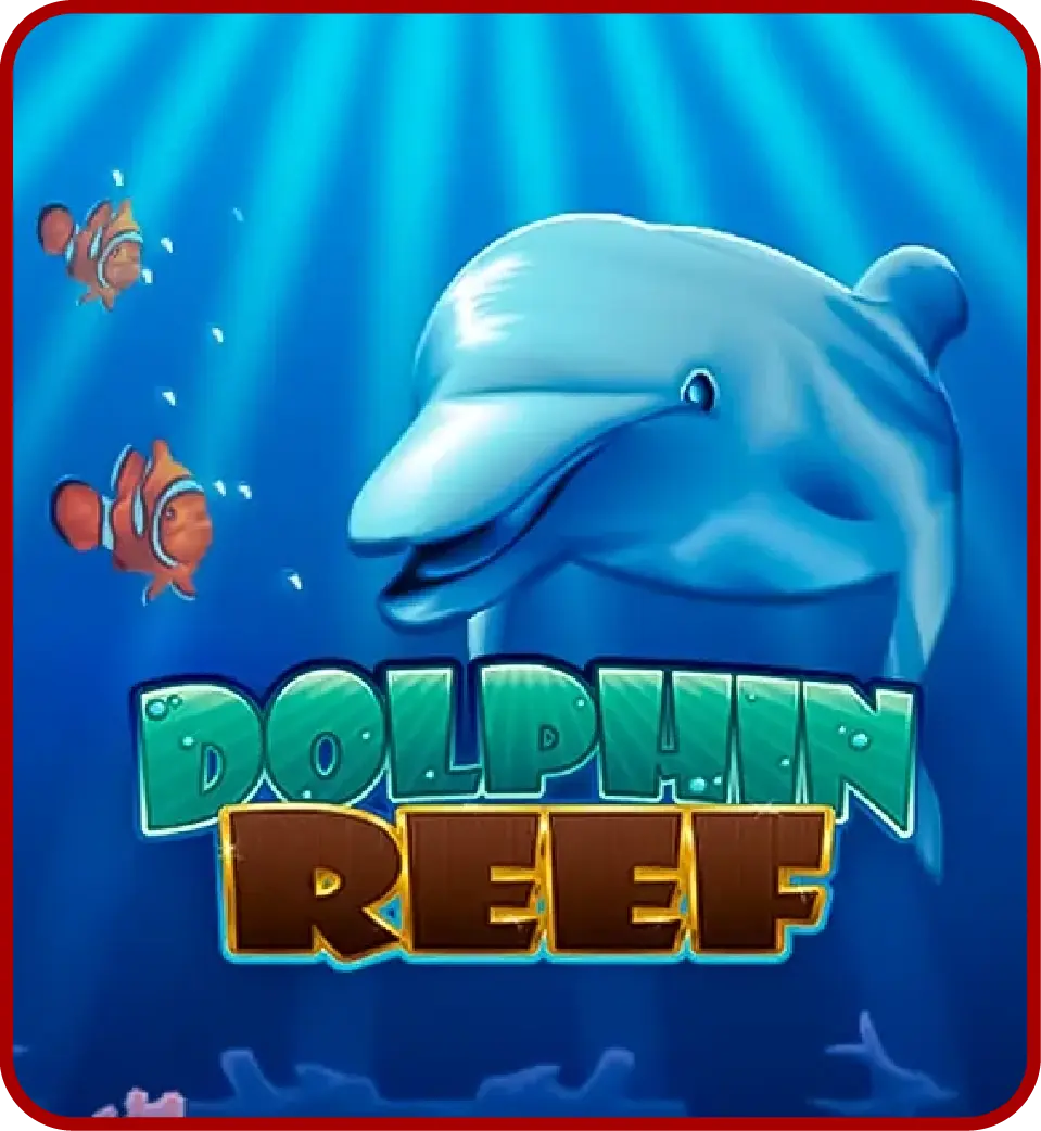 Dolphin Reef