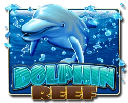 Dolphin Reef from Pussy888