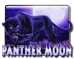Panther Moon from Pussy888